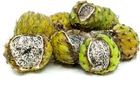 Attēlu rezultāti vaicājumam “Anisantha tectorum fruit”