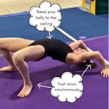 Image result for Appley Bridge Gymnastics Club