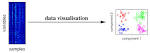 gene expression data - via Daymix