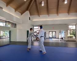 Image result for Rugby Judo Club