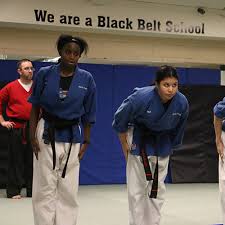 Image result for Action Karate