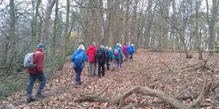 Image result for Toddington Tennis Club