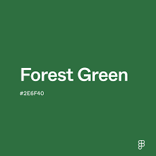 Znalezione obrazy dla zapytania green