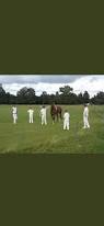 Image result for Porthleven Cricket Club