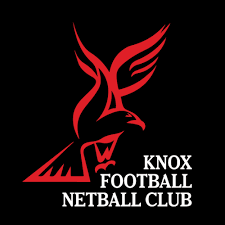 Image result for Falcons Netball Club