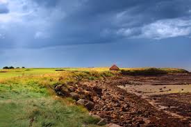 Image result for Kilspindie Golf Club Ltd