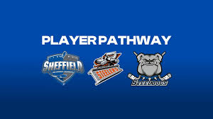 Image result for Sheffield Scimitars