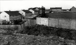 Image result for Lintz Cricket Club