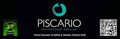 Image result for Halstead Colts Cricket Club