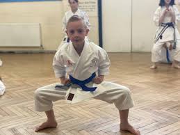 Image result for Everitt Karate Academy