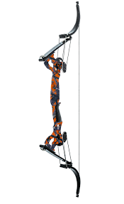 Image result for Osprey Archery Club