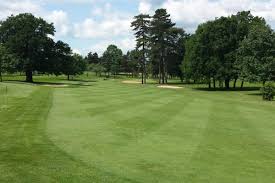 Image result for Stowmarket Cricket Club