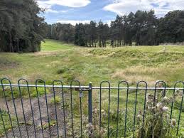 Image result for Caird Park Golf Club