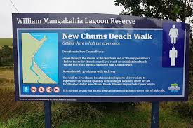 Image result for new chums beach