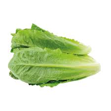 Image result for Kopfsalat