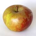 Blog de lacuisinedelirilou : La cuisine de Lirilou, Pomme de Reinette et Pomme d'Api...