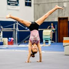 Image result for Maple Gymnastics Club