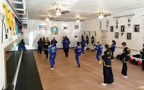 Image result for southern academy choi kwang do