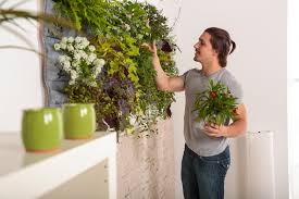 Image result for living wall