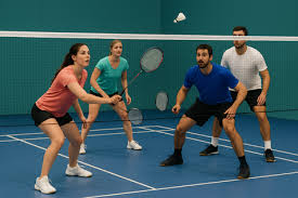 Image result for Dragons Junior Badminton Club