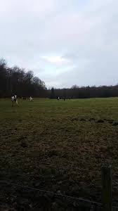 Image result for Dalkeith Park Equestrian Club