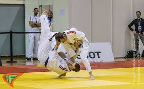 Image result for Judo/Ju-Jitsu Self Defence