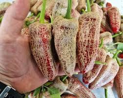 Afbeeldingsresultaat voor biker billy jalapeno hot pepper