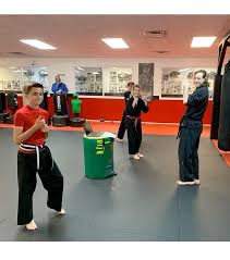 Image result for Kyoku Kenjutsu Kai