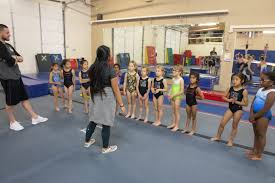 Image result for Blythe Valley Gymnastics Club