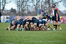 Image result for Tring Rugby Union Football Club