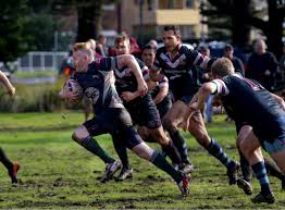 Image result for Bingham Rugby Union Football Club