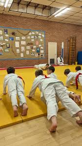 Image result for Redbridge Judo Club