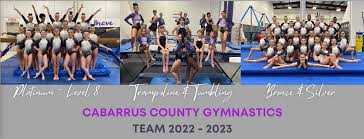 Image result for Concorde Gymnastics Club