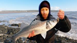 Image result for Bristol Channel Sea Fishing