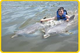 Image result for Dolphina Gc