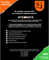 Image result for St Joseph`s Youth `88 Football Club