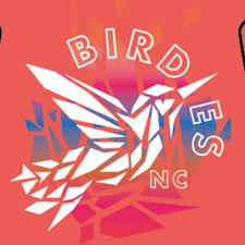 Image result for Leighton Buzzard (Beds) Netball Club