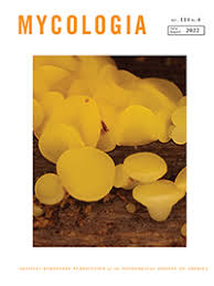 Attēlu rezultāti vaicājumam “Diachea sp.”