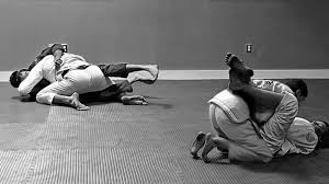 Image result for Halton BJJ & Judo Club