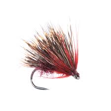 Image result for Segdoune Flyfishers` Angling Club