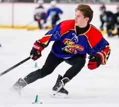 Image result for Pontypool Skater Hockey Club