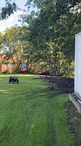 Image result for Blackley Cricket Club