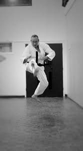 Image result for Loughton Wado-Kai Karate Club