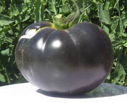 Afbeeldingsresultaat voor black oxheart tomato
