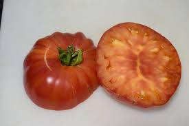 Afbeeldingsresultaat voor mortgage lifter bicolor strain tomato