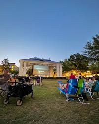 Image result for Enzian