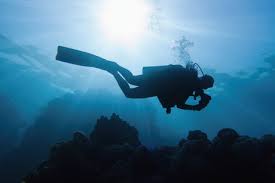 Image result for Aquanauts Dive Centre Sunderland