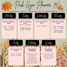 Image result for Redcar School Of Gymnastics