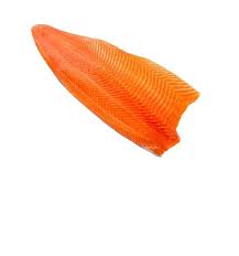 Image result for Salmo salar