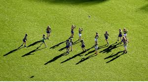 Image result for Ballyhegan Davitts Gaa Club
